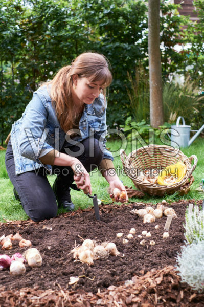 Young lady planting flower bulbs Young lady planting flower bulbs