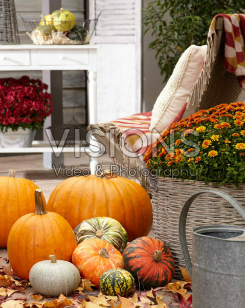 Pumpkin autumn scene Pumpkin autumn scene