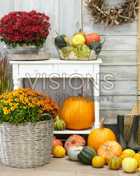 Pumpkin autumn scene Pumpkin autumn scene