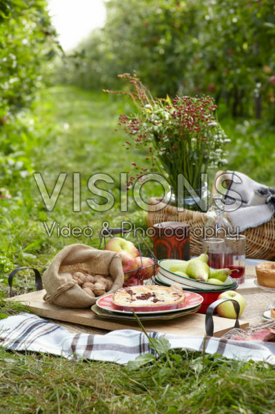 Orchard picnic Orchard picnic