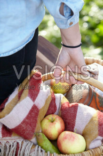 Picking fruit in orchard Picking fruit in orchard