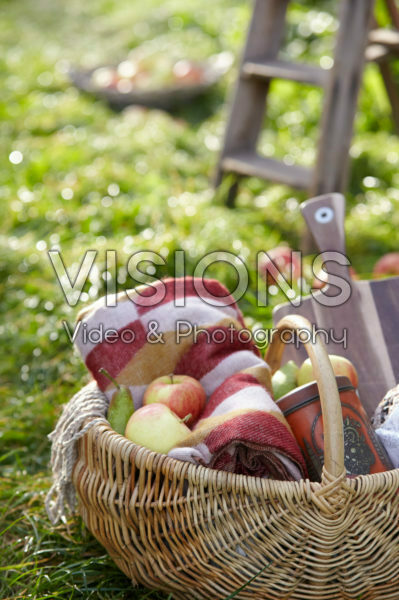 Picnic basket in orchard Picnic basket in orchard