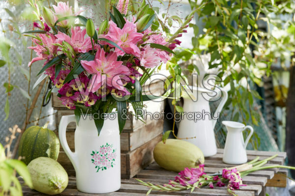 Roselily Patricia ® Roselily Patricia ®