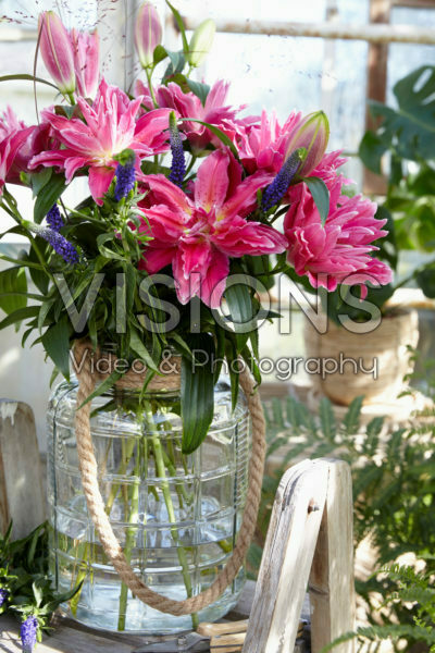 Roselily Julia ® Roselily Julia ®
