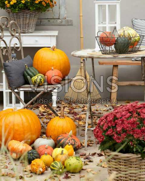 Pumpkin autumn scene Pumpkin autumn scene