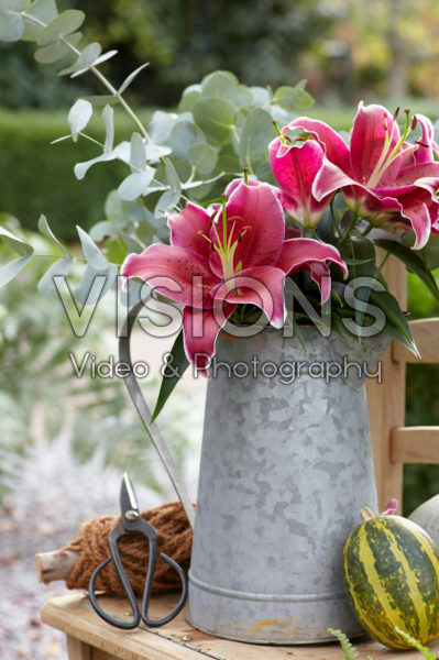 Lilium Sunny Keys Lilium Sunny Keys