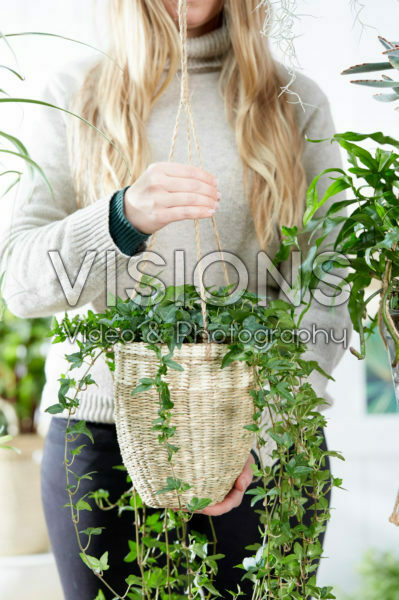 Lady holding hanging basket Lady holding hanging basket