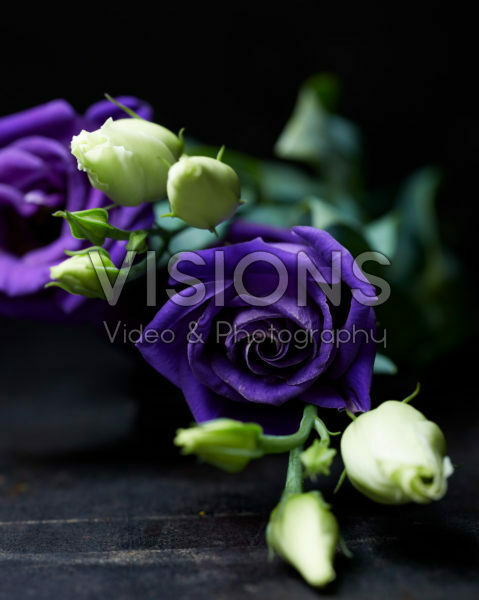 Eustoma flowers Eustoma flowers