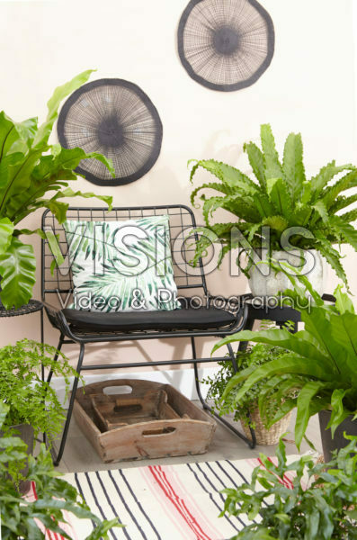 Varen collectie Varen collectie