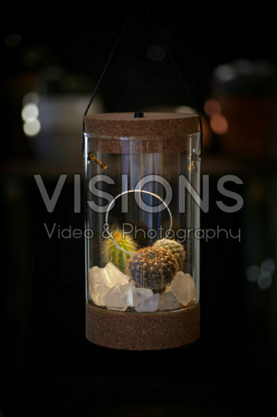 Cactus combinatie in glas Cactus combinatie in glas