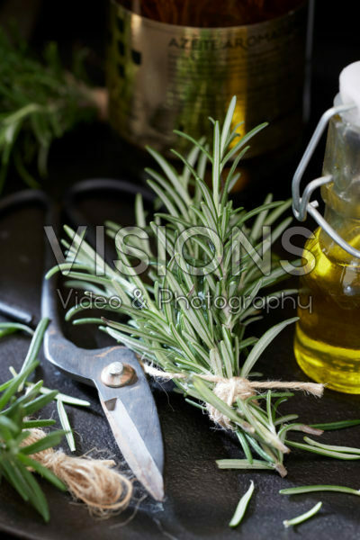 Rosmarinus officinalis Rosmarinus officinalis