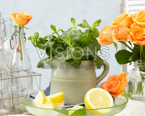 Mentha Mentha