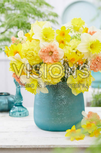 Narcissus mix Narcissus mix