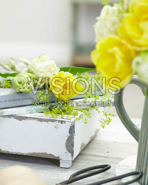 Voorjaarsbloemen Voorjaarsbloemen