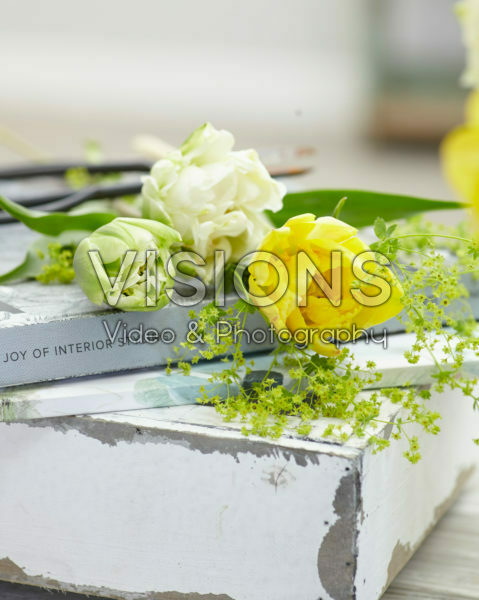 Voorjaarsbloemen Voorjaarsbloemen