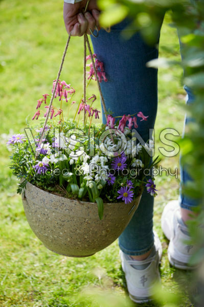 Hanging basket Hanging basket