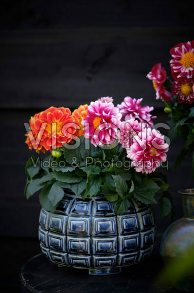 Dahlia LaBella ® Medio mixed