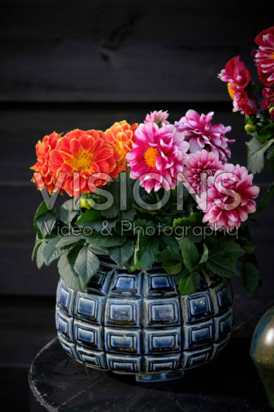 Dahlia LaBella ® Medio mixed