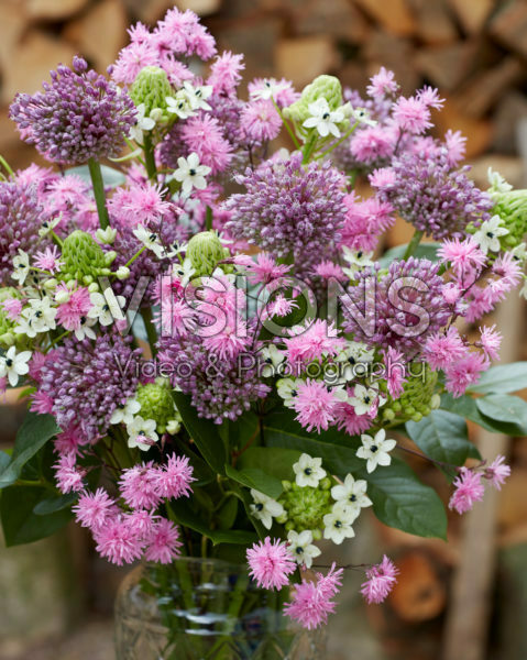Allium boeket Allium boeket