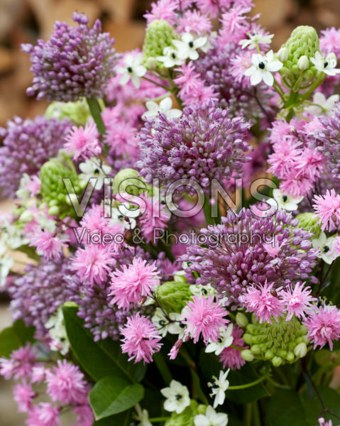 Allium boeket