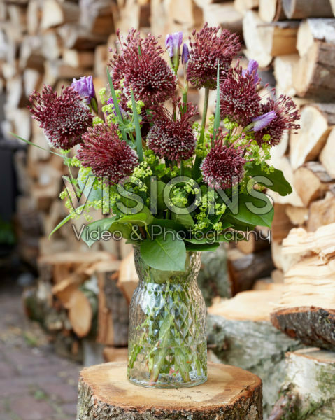 Allium bouquet Allium bouquet