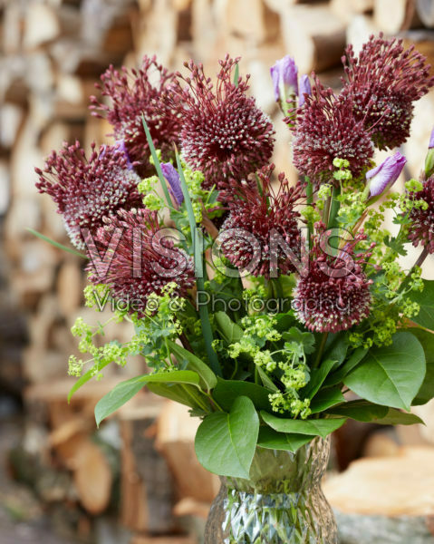 Allium boeket