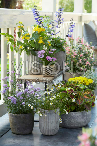 Summer balcony collection Summer balcony collection