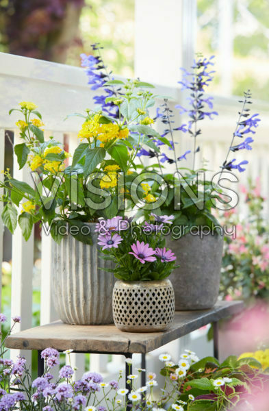 Summer balcony collection Summer balcony collection