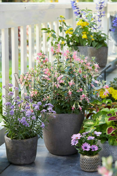 Summer balcony collection Summer balcony collection