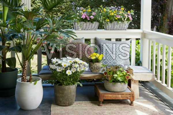 Summer balcony collection Summer balcony collection