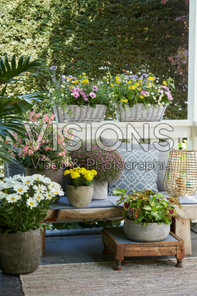 Summer balcony Summer balcony