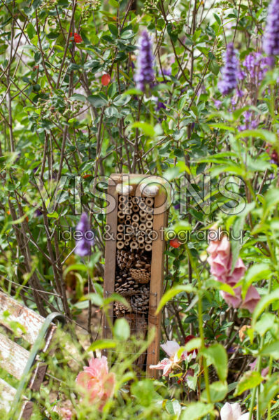 Insect hotel Insect hotel