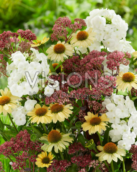 Perennial mix Perennial mix