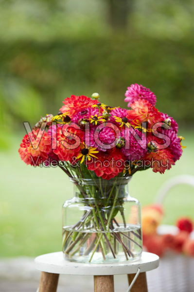 Dahlia bouquet Dahlia bouquet