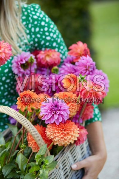 Basket with Dahlias Basket with Dahlias