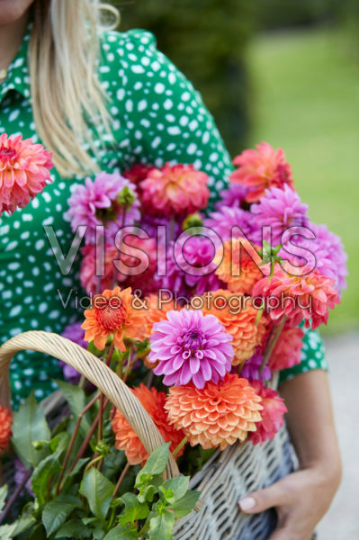 Basket with Dahlias Basket with Dahlias