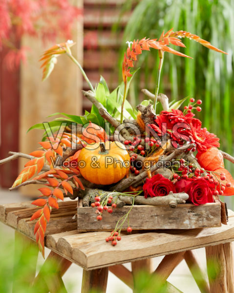 Floral arrangement Floral arrangement