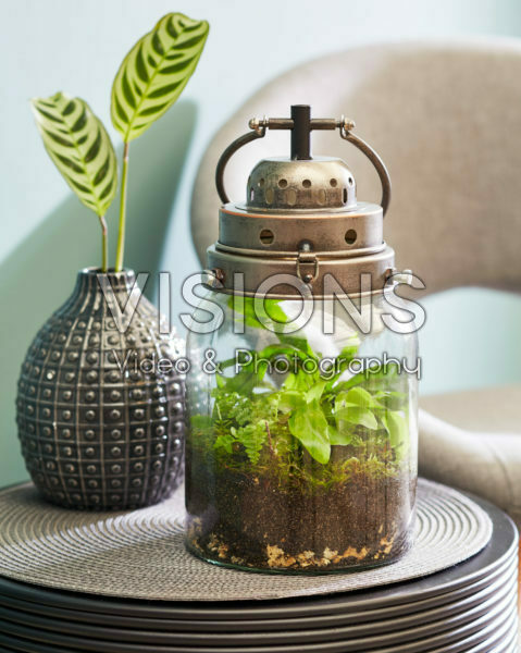 Decoratieve lantaarn met varens Decoratieve lantaarn met varens