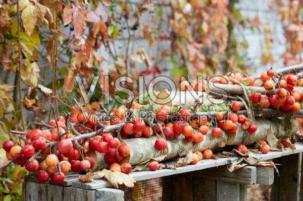 Arrangement with crab apples Arrangement with crab apples