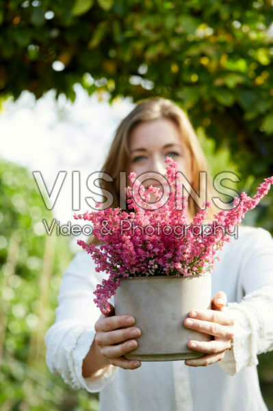 Young lady with Erica gracilis Young lady with Erica gracilis
