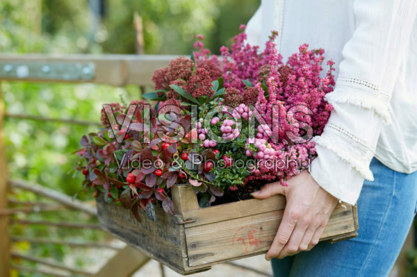 Autumn container Autumn container