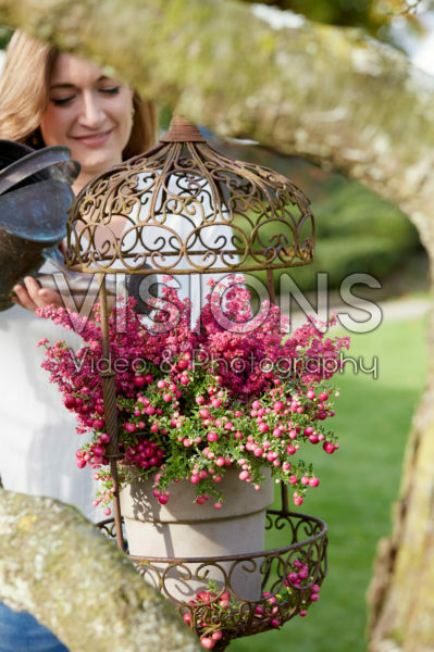 Autumn combination Autumn combination