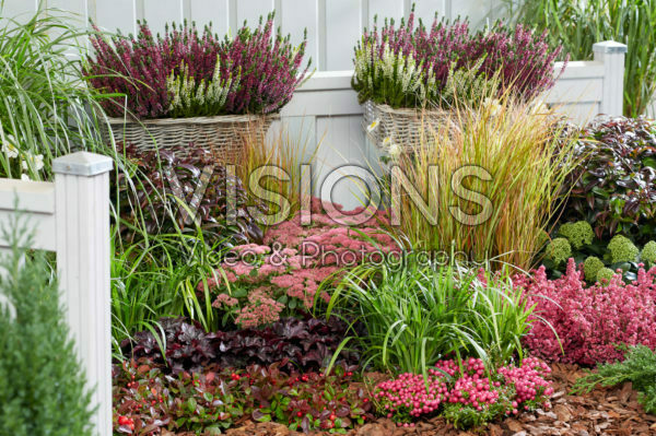 Autumn border Autumn border