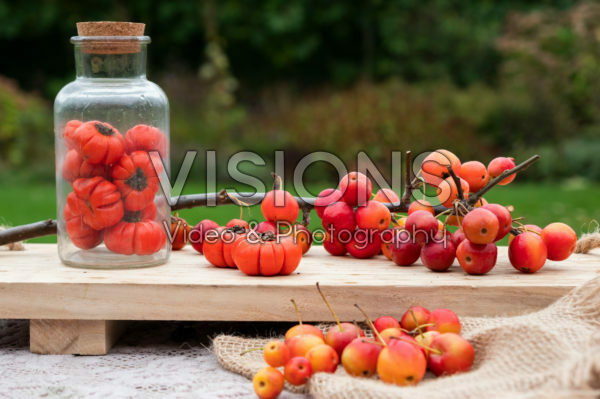 Ornamental fruit collection Ornamental fruit collection