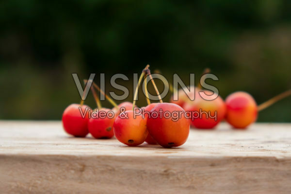 Malus Red Sentinel Malus Red Sentinel