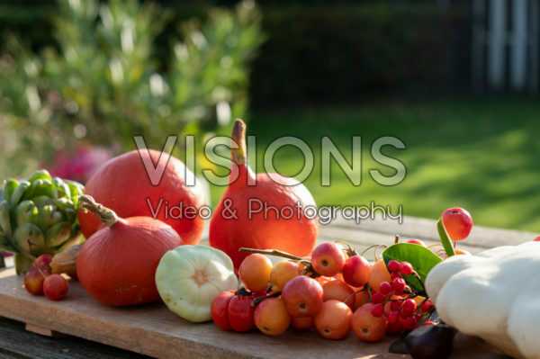 Ornamental fruit collection Ornamental fruit collection