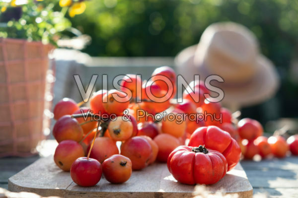 Ornamental fruit collection Ornamental fruit collection