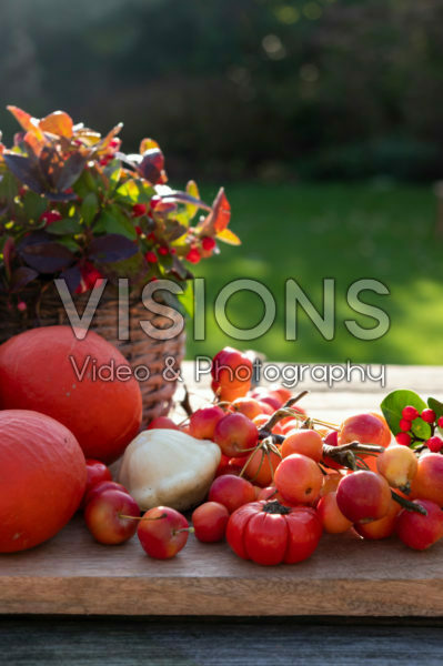 Ornamental fruit collection Ornamental fruit collection