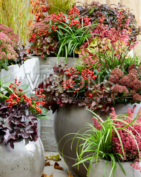 Autumn containers Autumn containers