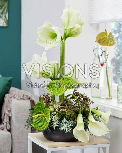 Floral arrangement Floral arrangement